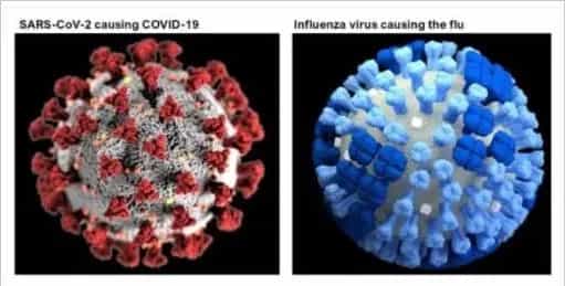 계절 독감(인플루엔자)와 코로나바이러스 감염증(COVID-19) 비슷하지만 다른점