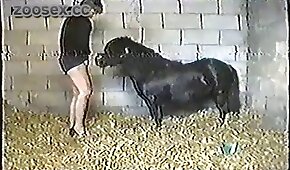 Novinha magrinha transando com teso - pónei,sexo de cachorro