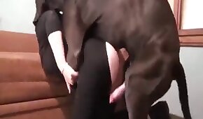Novinha magrinha transando com teso - sexo de cachorro,sexo foda animal
